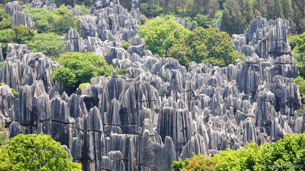 Rừng đá, Trung Quốc