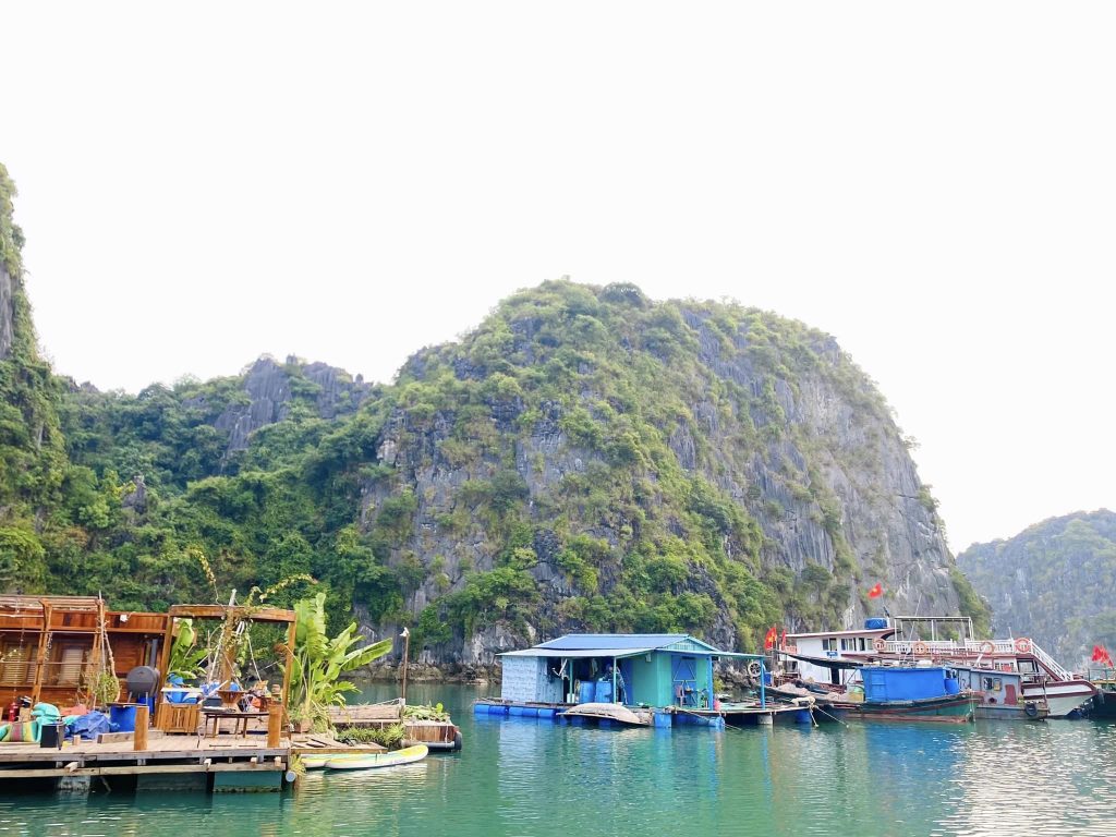 Vẻ đẹp bình yên của làng chài Cái Bèo khi khám phá vịnh Lan Hạ
