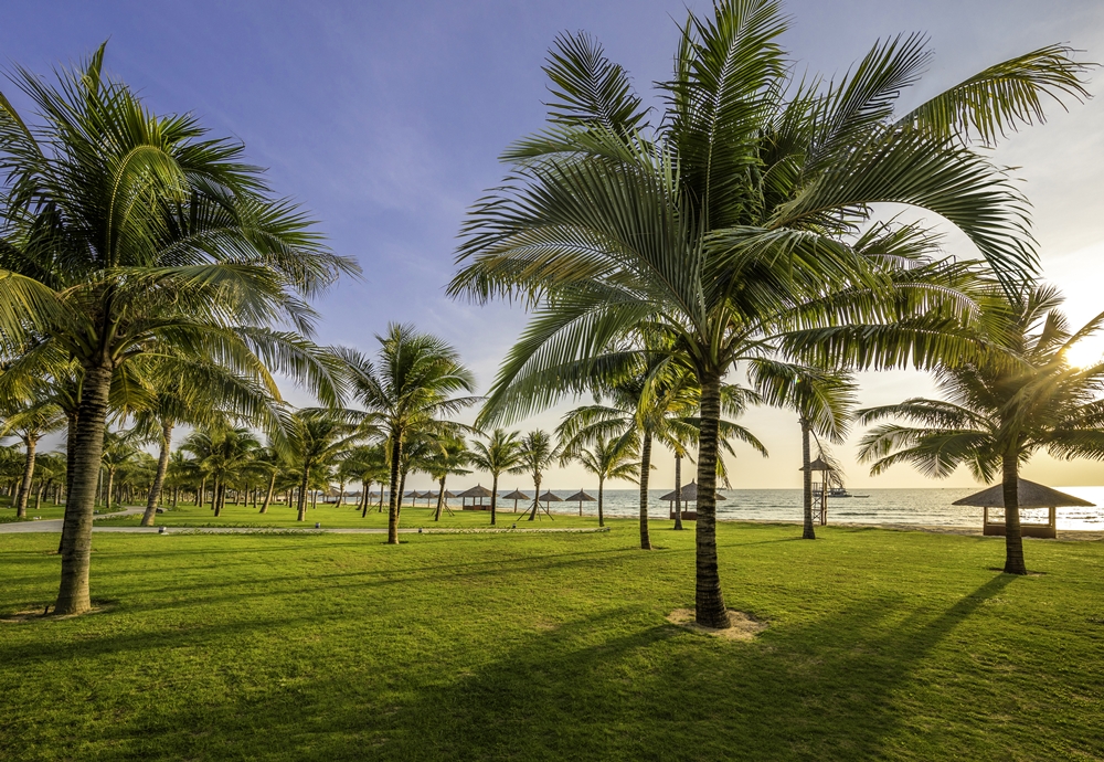 vinoasis-phu-quoc-ivivu-18