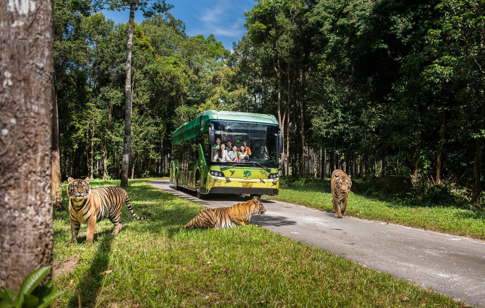 Vinpearl Safari Phú Quốc 4N3Đ