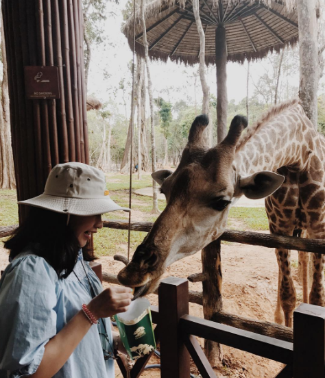 Không gian mở Vinpearl Safari Phú Quốc