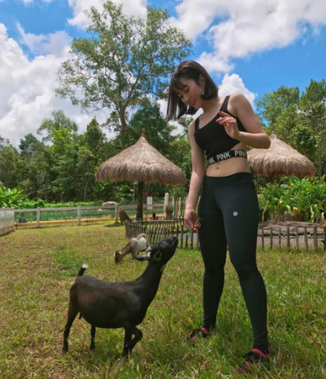 Du khách chụp ảnh tại Vinpearl Safari Phú Quốc