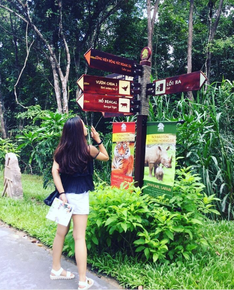Hồng hạc tại Vinpearl Safari Phú Quốc