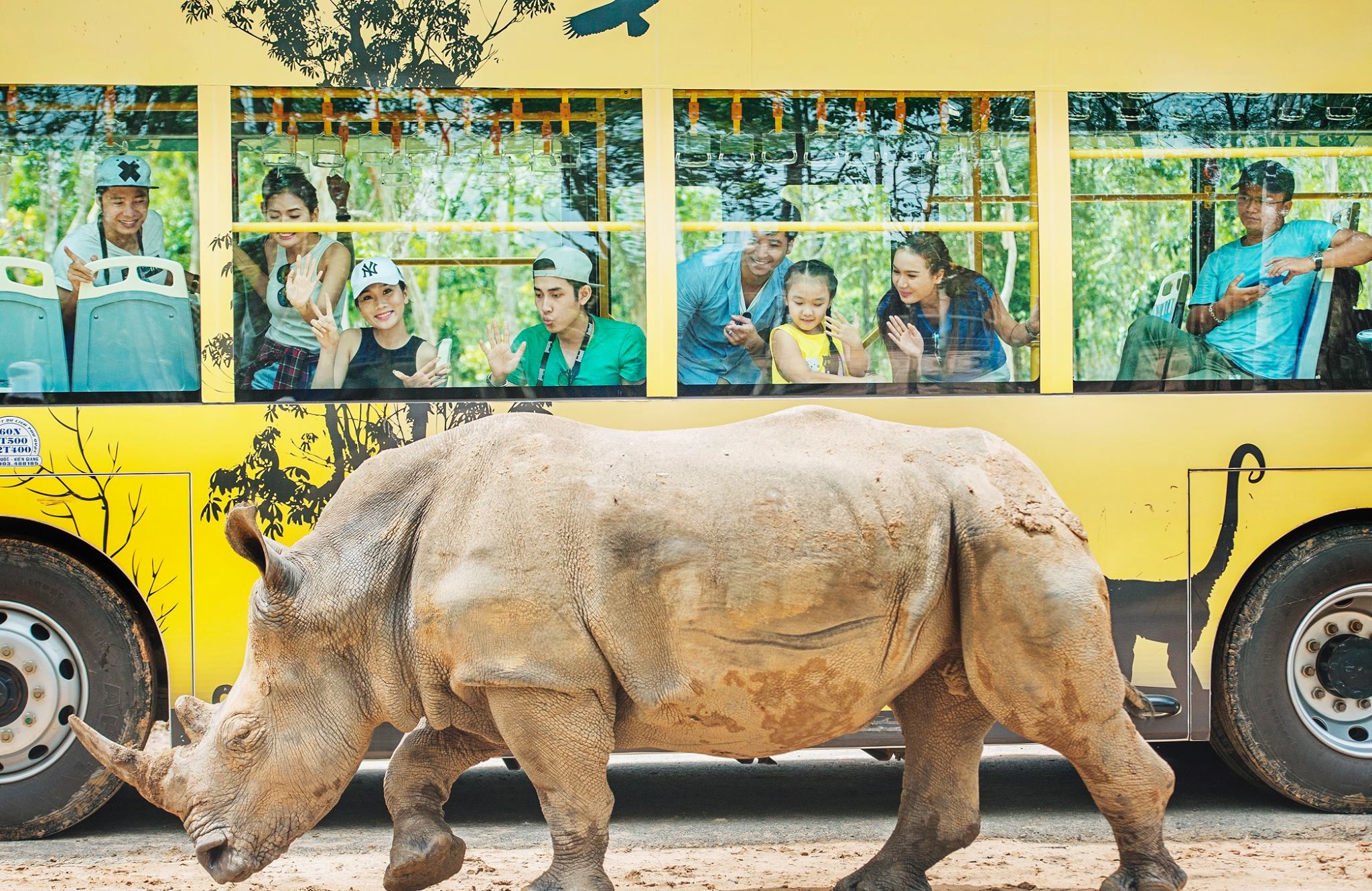 Vinpearl Safari Phú Quốc - Tê giác