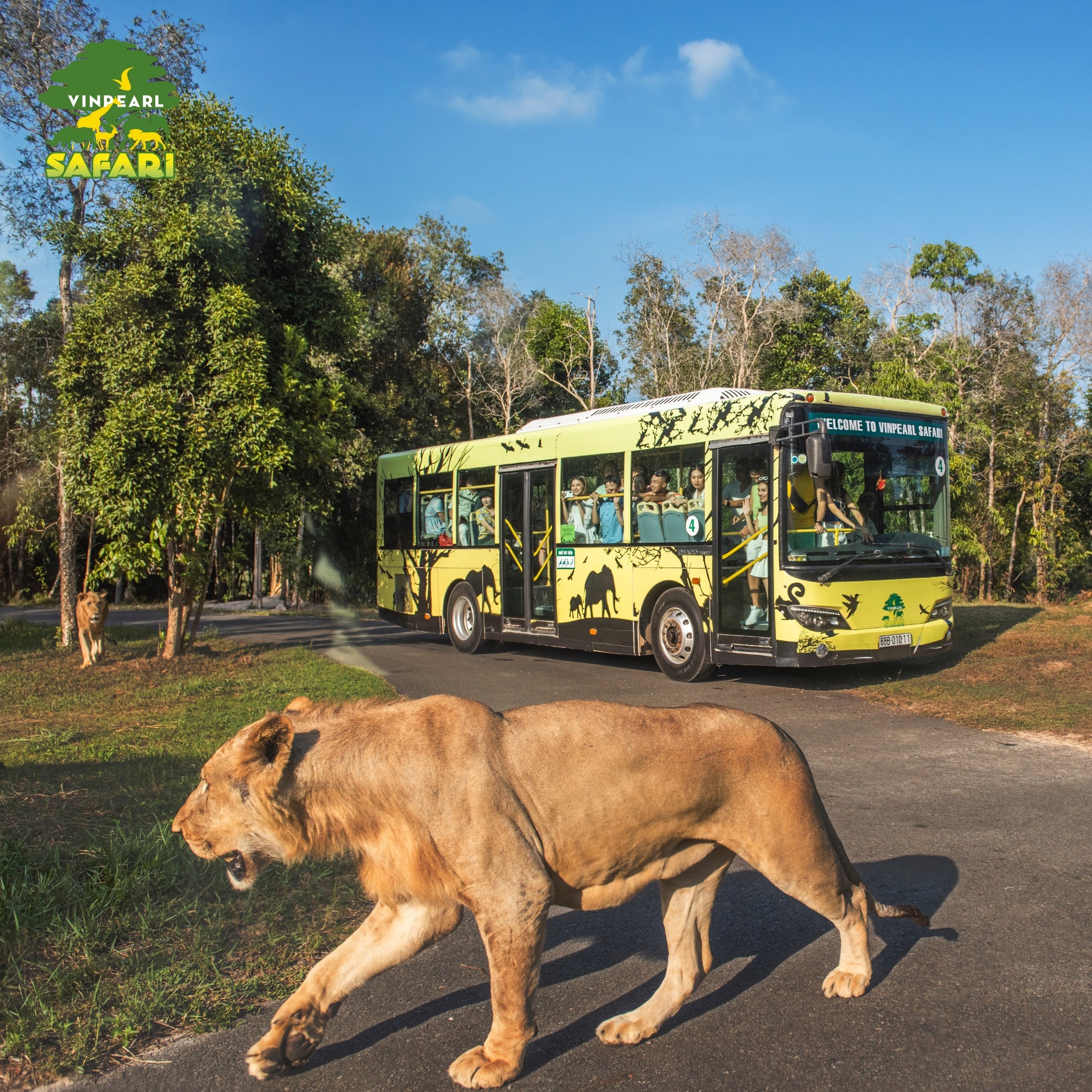 Vinpearl Safari Phú Quốc - Trải nghiệm nhốt người thả thú
