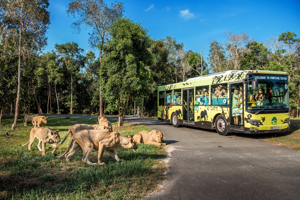 Vinpearl Safari Phú Quốc Vinpearl Safari Phú Quốc