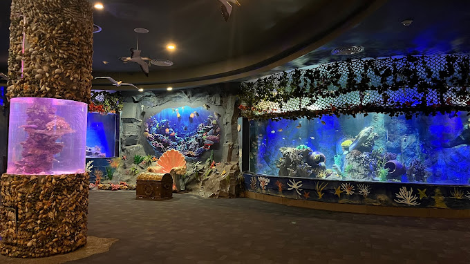 Đại dương VinWonders Nha Trang Đại dương VinWonders Nha Trang