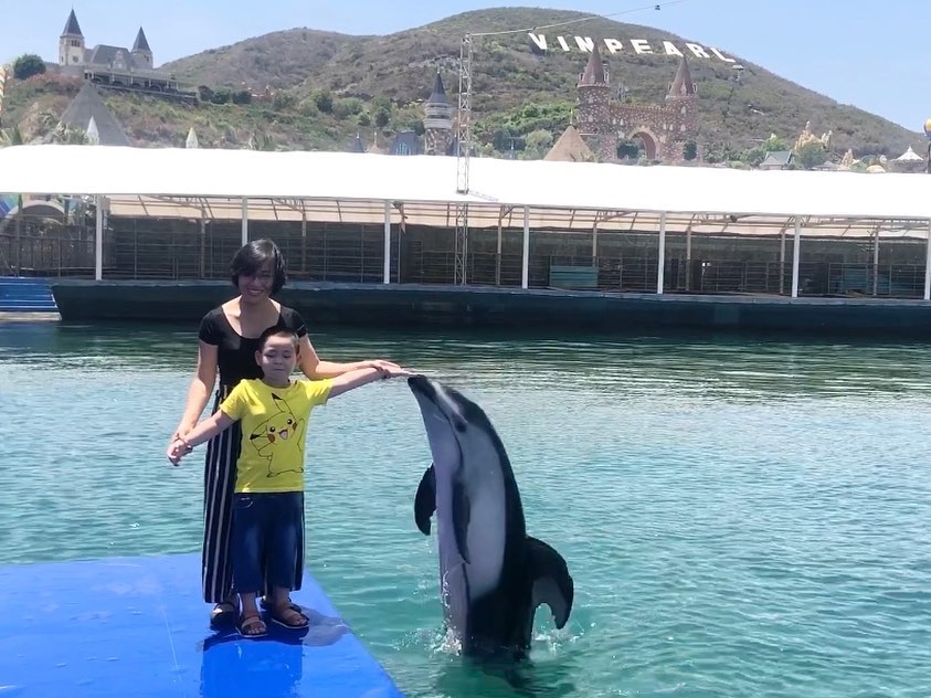 Show diễn cá heo thông minh tại VinWonders Nha Trang