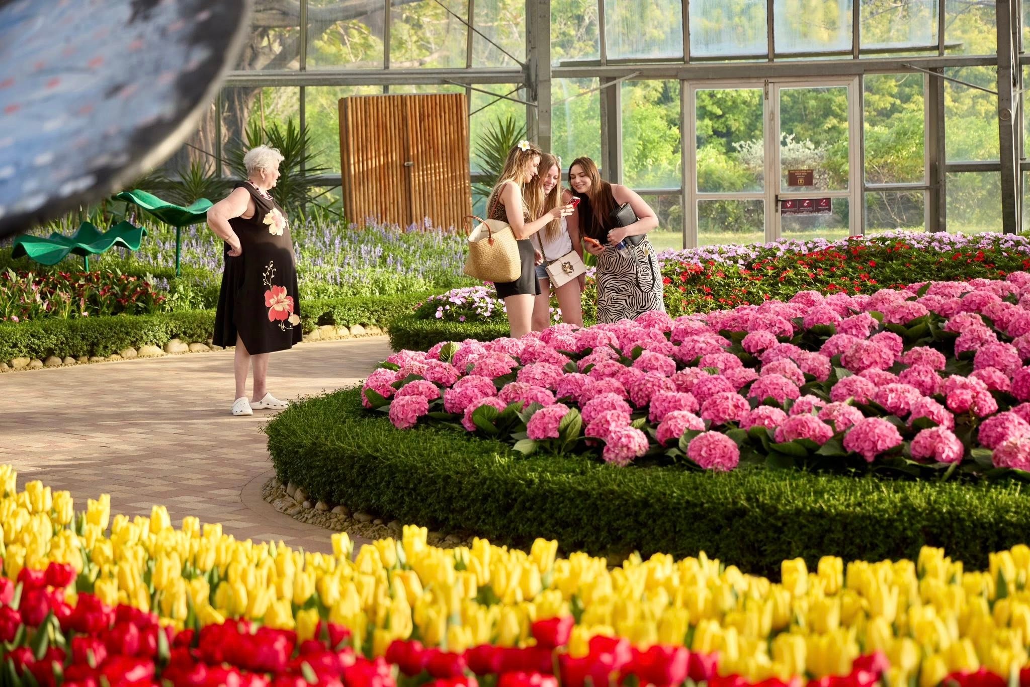 Đồi hoa tulip rực rỡ tại VinWonders Nha Trang