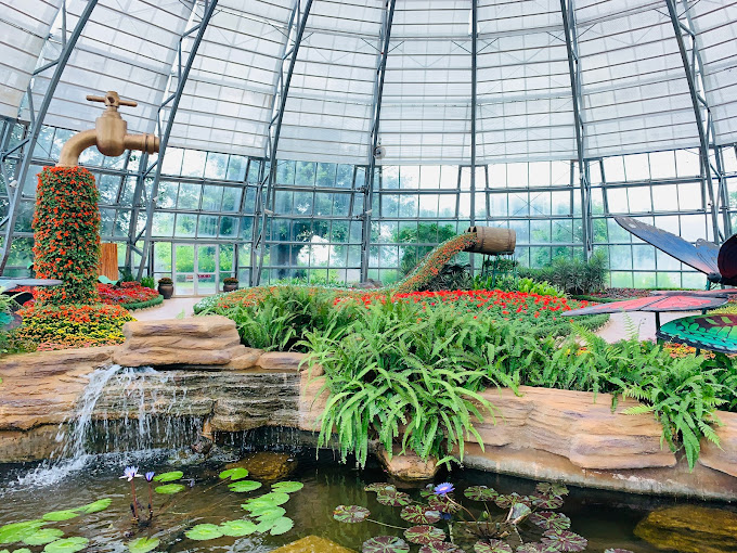 Vườn hoa hồng VinWonders Nha Trang Vườn hoa hồng VinWonders Nha Trang