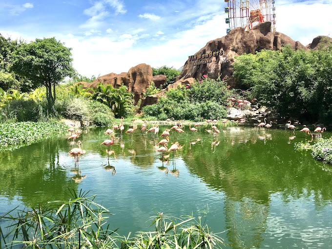 Vườn thú VinWonders Nha Trang Vườn thú VinWonders Nha Trang