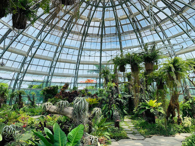 Xương rồng VinWonders Nha Trang Xương rồng VinWonders Nha Trang