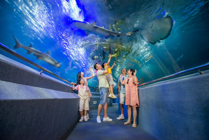 Sea World VinWonders Nha Trang Sea World VinWonders Nha Trang