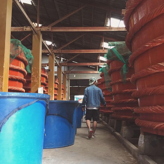 Nhà thùng nước mắm truyền thống Phú Quốc