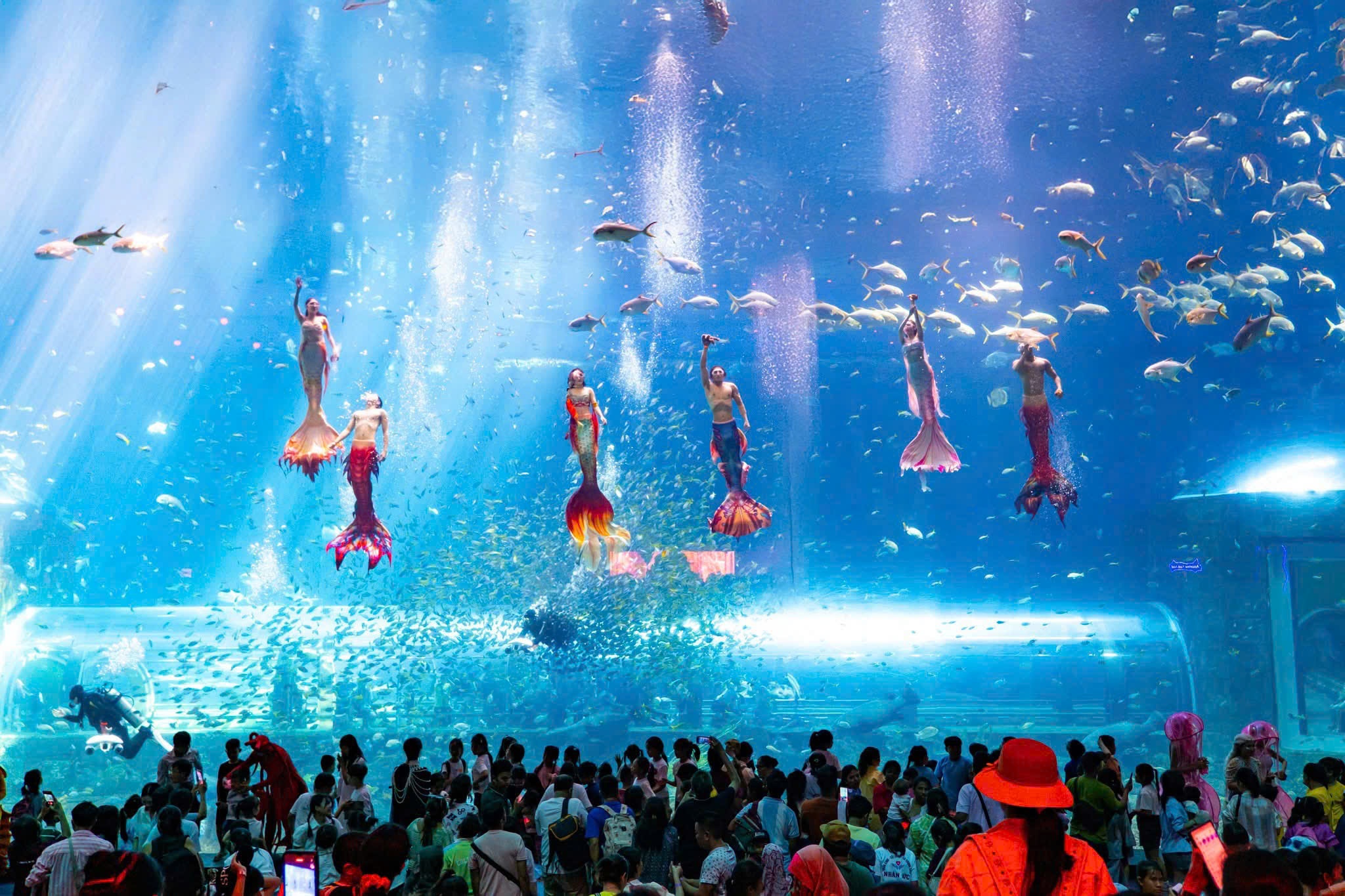 Show diễn Nàng Tiên Cá tại VinWonders Phú Quốc 2026