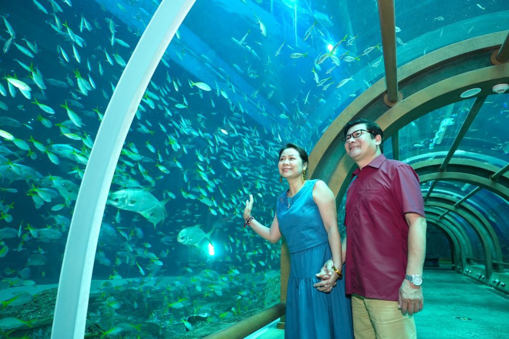 Thế giới cá màu sắc tại Cung điện Hải Vương