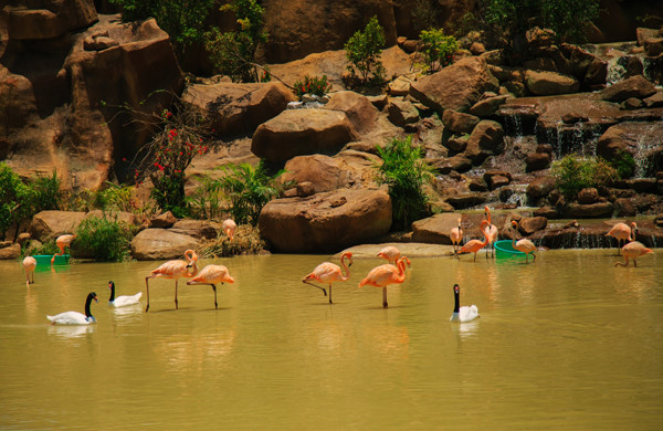 Check-in liền tay hàng loạt điểm đến mới tinh ở Vinpearl Land Nha Trang