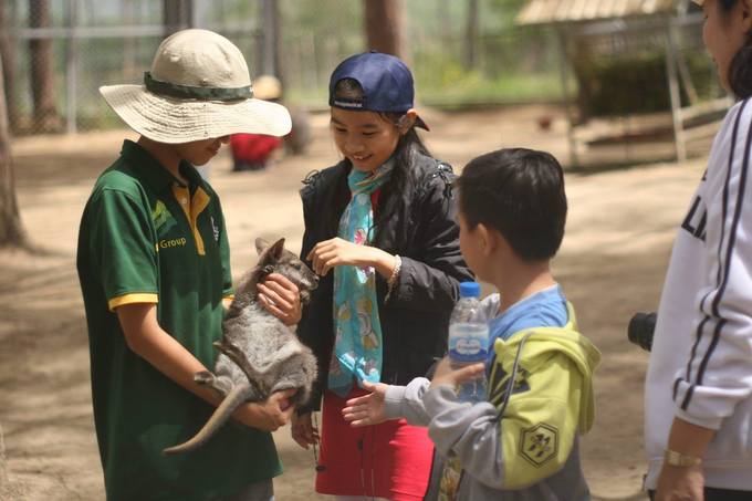 Chia sẻ với Ngoisao.net, ZooDoo cho biết mỗi cá thể thú khi gia nhập vườn đều cần tối thiểu 6 tháng để tập làm quen, chấp nhận ở gần con người... Mỗi loài có đặc tính khác nhau nên phải chăm sóc kỹ lưỡng. Ngoài ra, việc đảm bảo an toàn, vệ sinh thú y là yêu cầu hàng đầu. Hiện tại nơi này có 2 bác sĩ thú y chuyên trách tại chỗ.