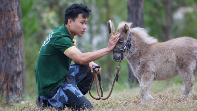 Đồng thời, nhân viên chăm sóc thú được đi huấn luyện 2 lần/năm tại Thái Lan và Malaysia để có thể cập nhận kiến thức liên tục. Thời điểm đến tham quan vườn tốt nhất là vào buổi sáng, trời mát và ít mưa. Còn mùa đẹp nhất là mùa hè nắng ráo.