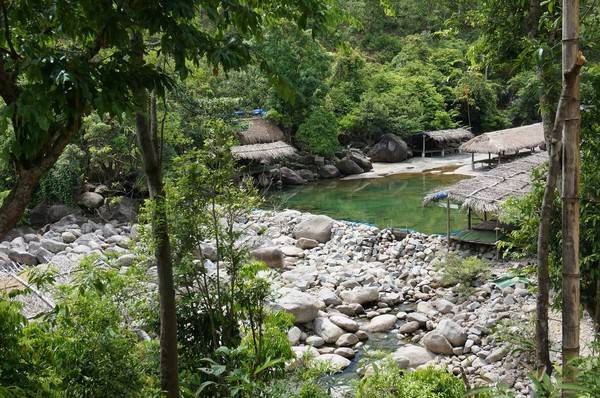 Khung cảnh thiên nhiên xanh mát tuyệt đẹp tại khu du lịch Vũng Voi
