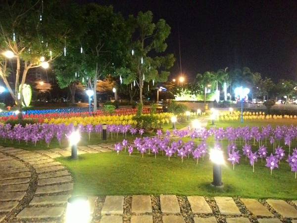 Không khó để bạn ghi lại được một tấm hình đẹp tại đây