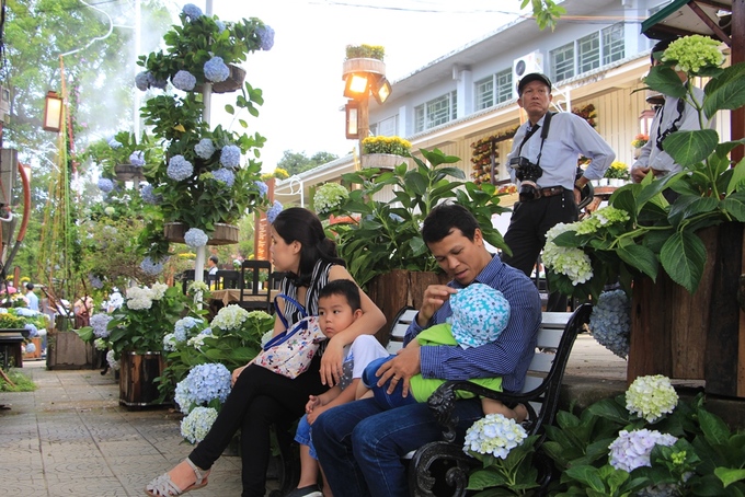 Người dân và du khách thoải mái chụp ảnh và ngồi thư giãn trong vườn khi nơi này không bán vé tham quan hay hạn chế khách ra vào.