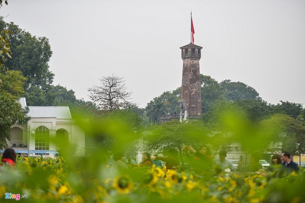 Vườn hoa hướng dương tại đây được ươm từ hạt mầm. Quá trình chăm sóc, kỹ thuật chăm bón đều có sự tư vấn của các chuyên gia. Hiện có khoảng 10 nhân viên chăm sóc cho vườn hoa.