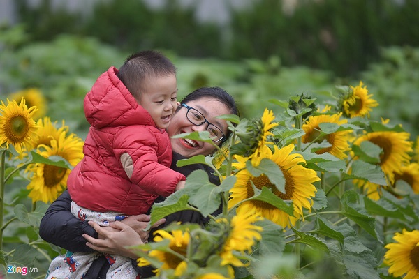 Nhiều trẻ nhỏ được bố mẹ đưa đến dạo chơi và thưởng ngoạn.
