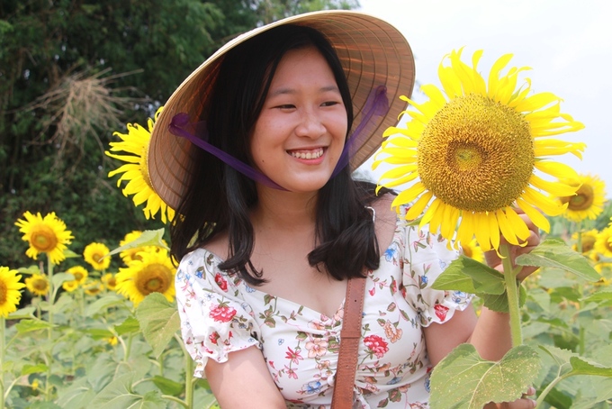 Đường đi đến vườn hoa hướng dương ở Huế vô cùng thuận tiện
