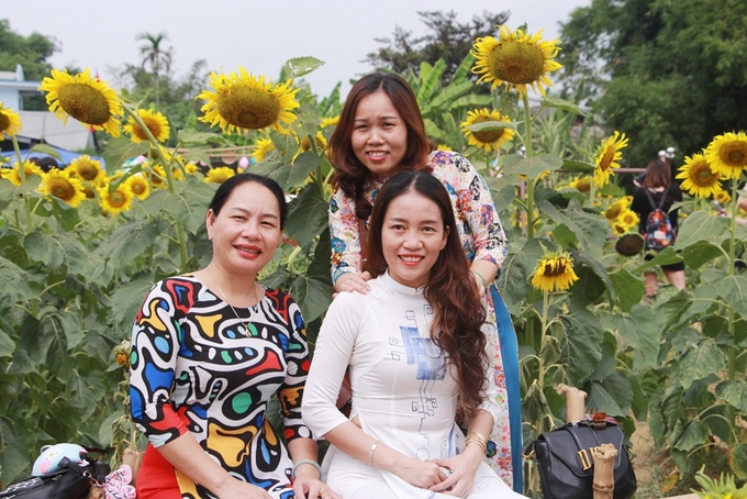 Thiếu nữ mặc áo dài chụp ảnh tại vườn hoa hướng dương ở Huế