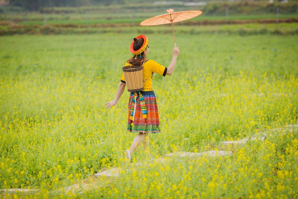 Không gian vườn hoa làng cổ Đường Lâm đẹp mê hồn