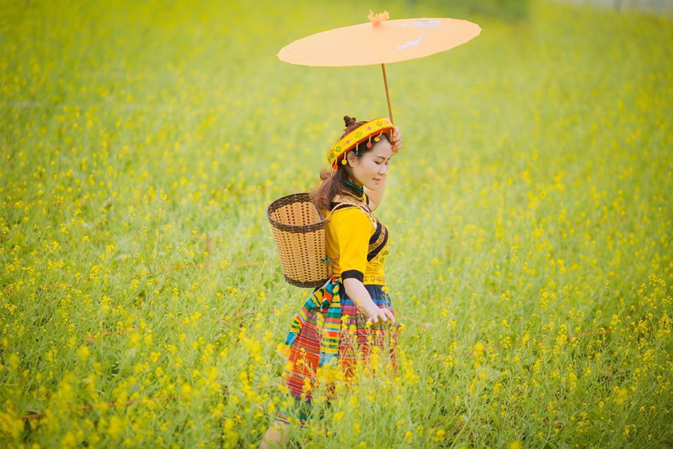 Cánh đồng hoa tại vườn hoa làng cổ Đường Lâm