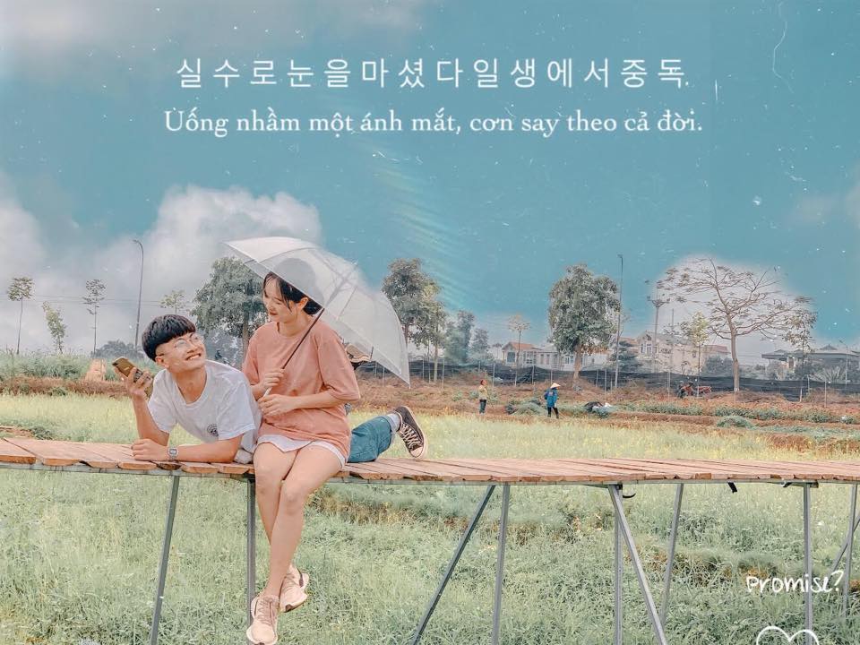 Ảnh: Nguyễn Hoàng Linh