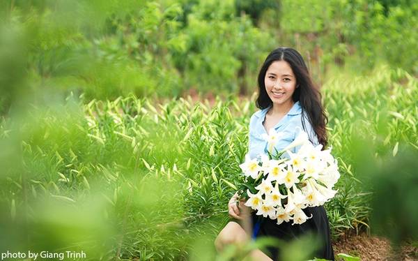 Chụp ảnh lưu niệm duyên dáng bên vườn hoa loa kèn tháng 4