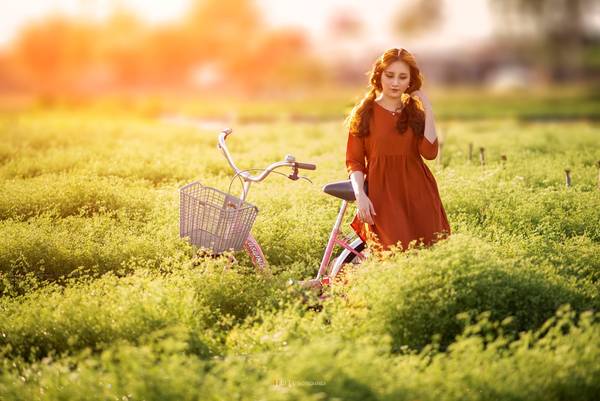 Vườn hoa ngò rí trắng muốt để ‘sống ảo’ ở Bà Rịa – Vũng Tàu