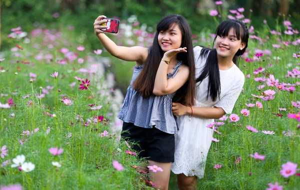 Cánh đồng hoa ở đây thu hút nhiều bạn trẻ đến tham quan, chụp hình, thực hiện ảnh cưới mỗi ngày.