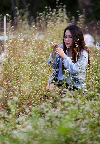 Mỗi ngày, có nhiều bạn trẻ đến vườn hoa để "mục sở thị" loài hoa tưởng như chỉ có thể mọc vùng núi cao phía bắc. "Em phải đi hơn 25 km đến đây để chiêm ngưỡng loài hoa này ít nhất một lần cho biết, đâu phải ai cũng có điều kiện lên Hà Giang", bạn Minh Anh (quận 4) thích thú.