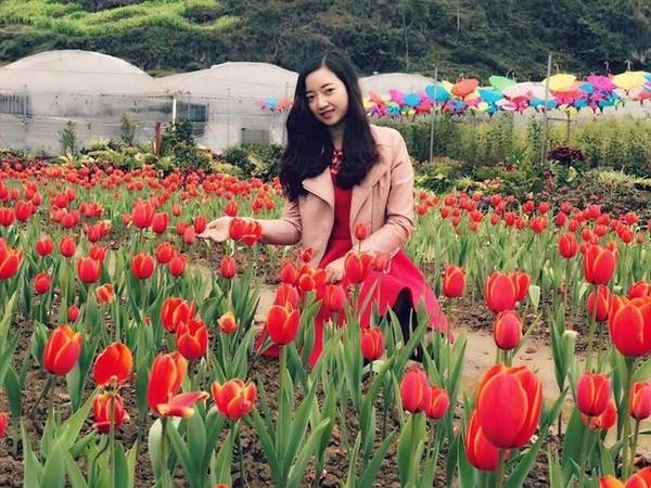 Lối đi nhỏ giữa các luống hoa tulip Bắc Hà