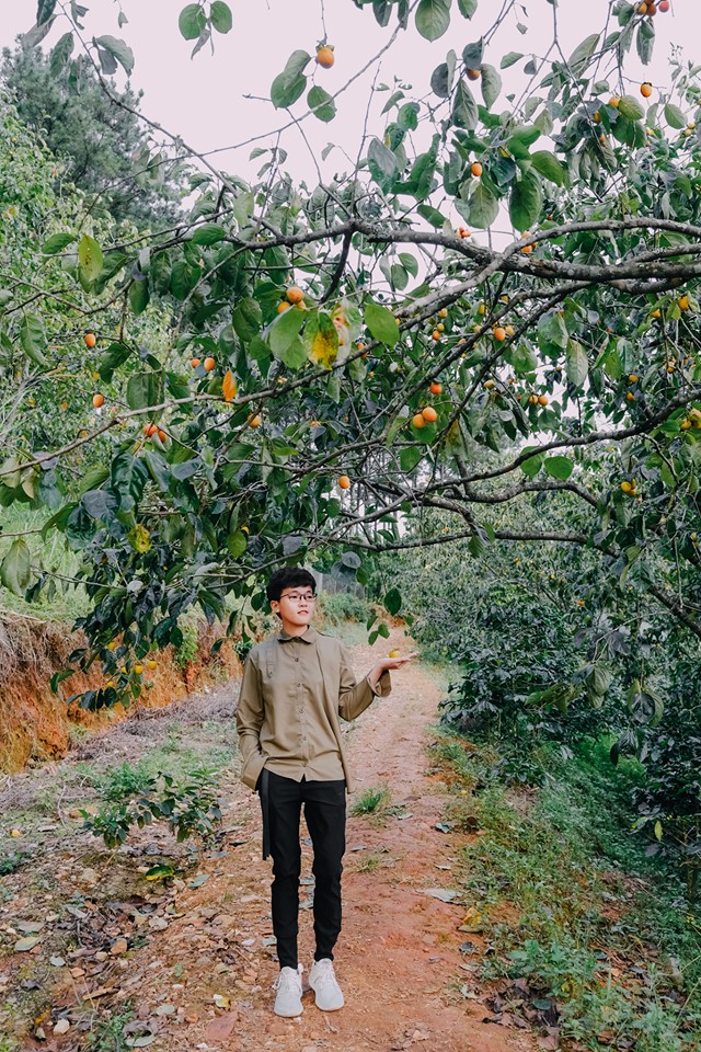 Vườn hồng Thái Long Đà Lạt