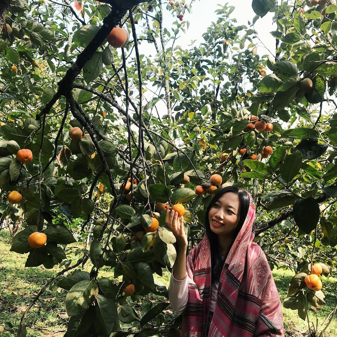 Vườn hồng Thái Long Đà Lạt