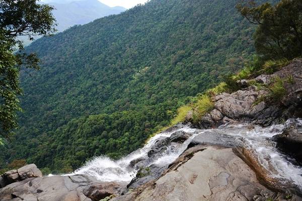 Hành trình trekking khám phá Thác Đỗ Quyên Vườn quốc gia Bạch Mã