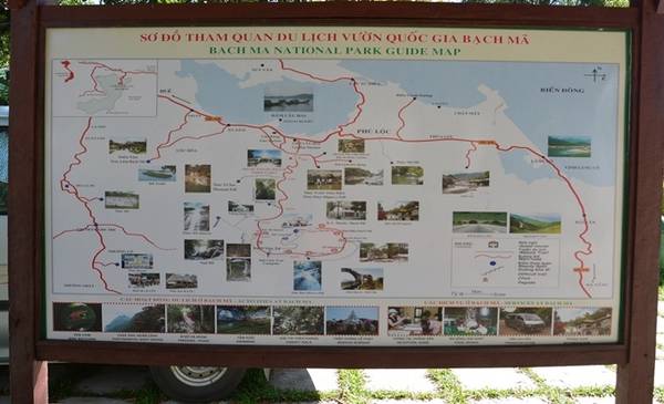 Vườn quốc gia Bạch Mã được thành lập vào năm 1991, tổng diện tích tự nhiên hơn 37 nghìn ha, bao gồm trên 36 nghìn ha đất lâm nghiệp và 522 ha đất khác. Đến cổng vườn quốc gia, du khách sẽ được hướng dẫn các tuyến tham quan, đi xe hơi theo con đường lên đến trạm dừng chân là 19 km. Ảnh: Thanh Tuyết.