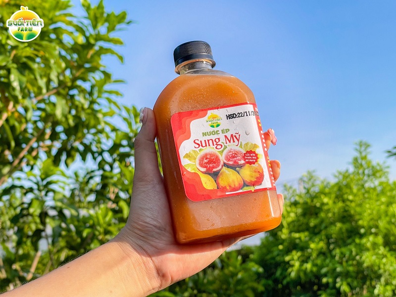 Sản phẩm nước ép sung Mỹ từ Vườn sung Mỹ Suối Tiên Farm