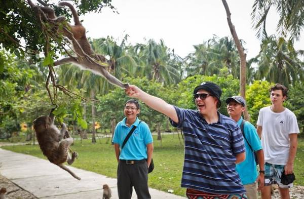 Du khách tương tác gần gũi với đàn khỉ trên Đảo Khỉ Nha Trang
