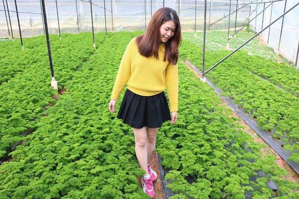 Wine Valley Homestay Đà Lạt khu vực BBQ