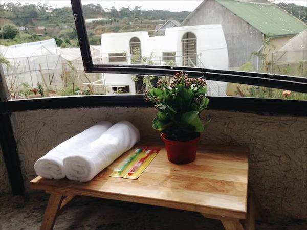 Wine Valley Homestay Đà Lạt góc chụp ảnh sống ảo