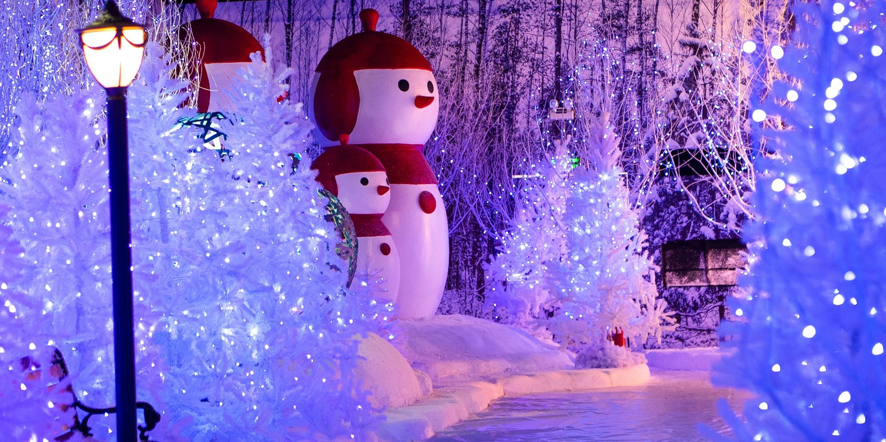 Winter Sonata Sài Gòn - Góc chụp ảnh lung linh