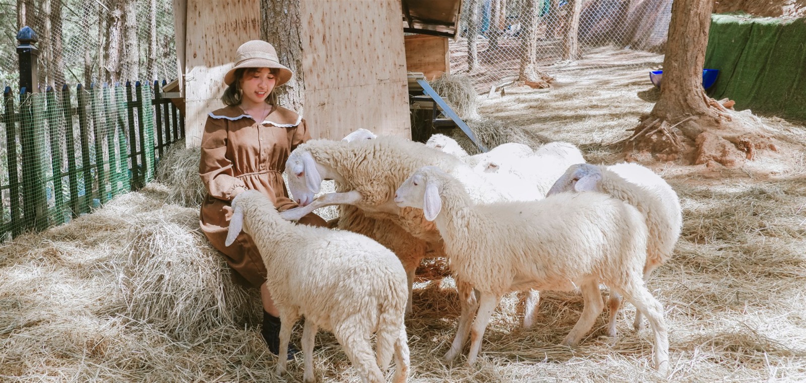 Wonderland Đà Lạt
