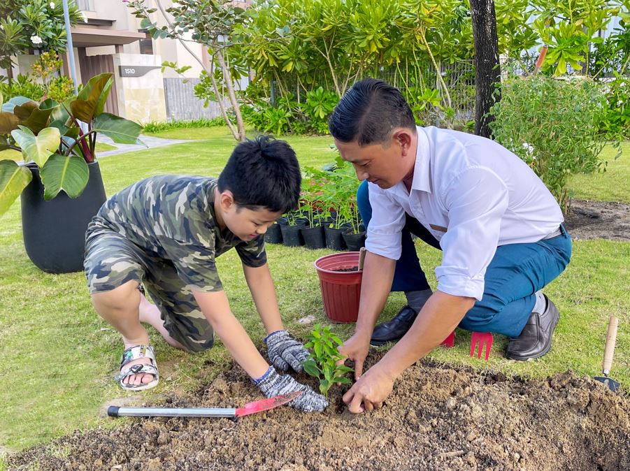 Hoạt động trồng cây cùng các bé.