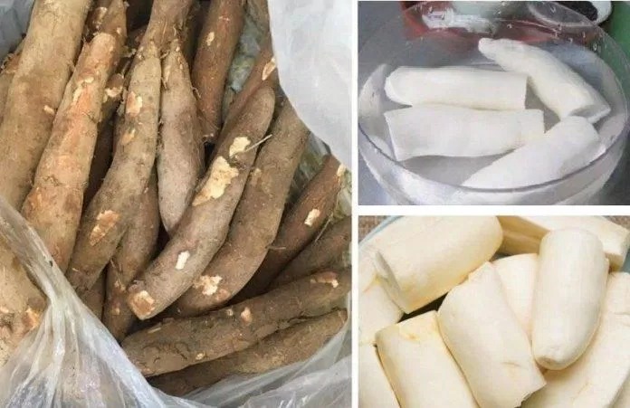 Củ sắn được làm sạch để nấu xôi sắn Sơn La